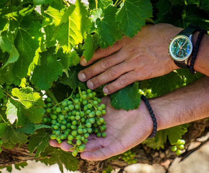 Grapes